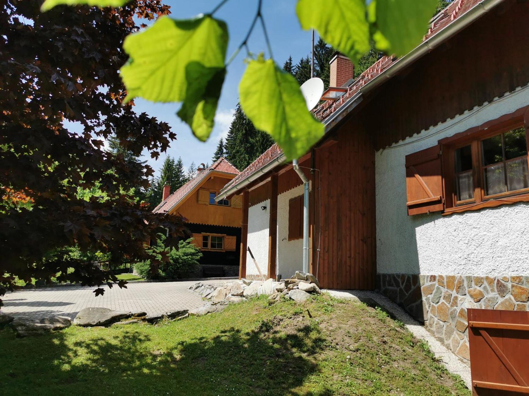 Pohorje House 2 Four Appartmetns Oplotnica Rom bilde