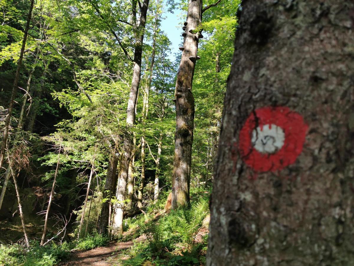 Pohorje House 2 Four Appartmetns Oplotnica Eksteriør bilde